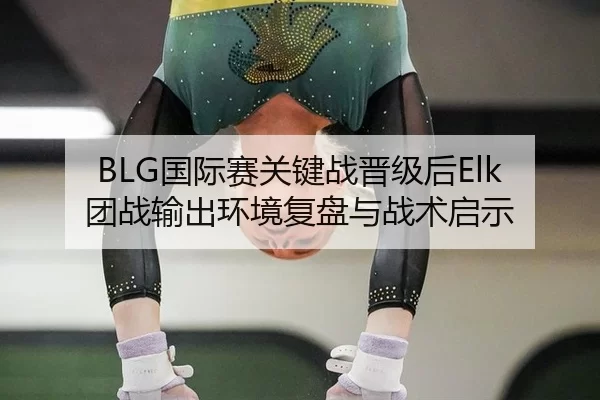 BLG国际赛关键战晋级后Elk团战输出环境复盘与战术启示