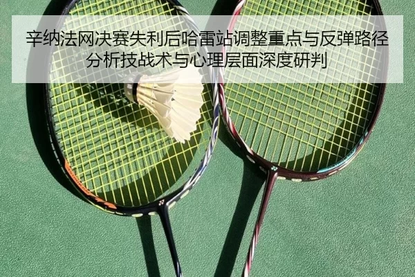 xin-na-fa-wang-jue-sai-shi-li-hou-ha-lei-zhan-tiao-zheng-zhong-dian-yu-fan-tan-lu-jing-fen-xi-ji-zhan-shu-yu-xin-li-2-157.jpg