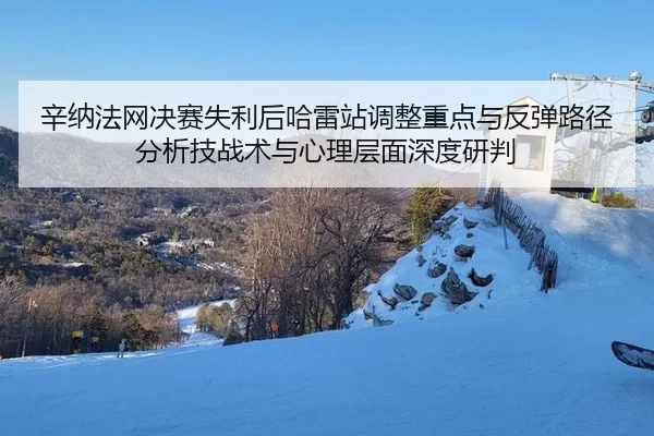 辛纳法网决赛失利后哈雷站调整重点与反弹路径分析技战术与心理层面深度研判