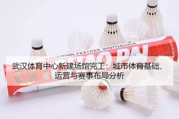 wu-han-ti-yu-zhong-xin-xin-jian-chang-guan-wan-gong-cheng-shi-ti-yu-ji-chu-yun-ying-yu-sai-shi-bu-ju-fen-xi-2-402.jpg