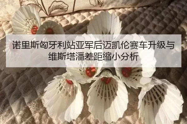 nuo-li-si-xiong-ya-li-zhan-ya-jun-hou-mai-kai-lun-sai-che-sheng-ji-yu-wei-si-ta-pan-cha-ju-suo-xiao-fen-xi-2-664.jpg